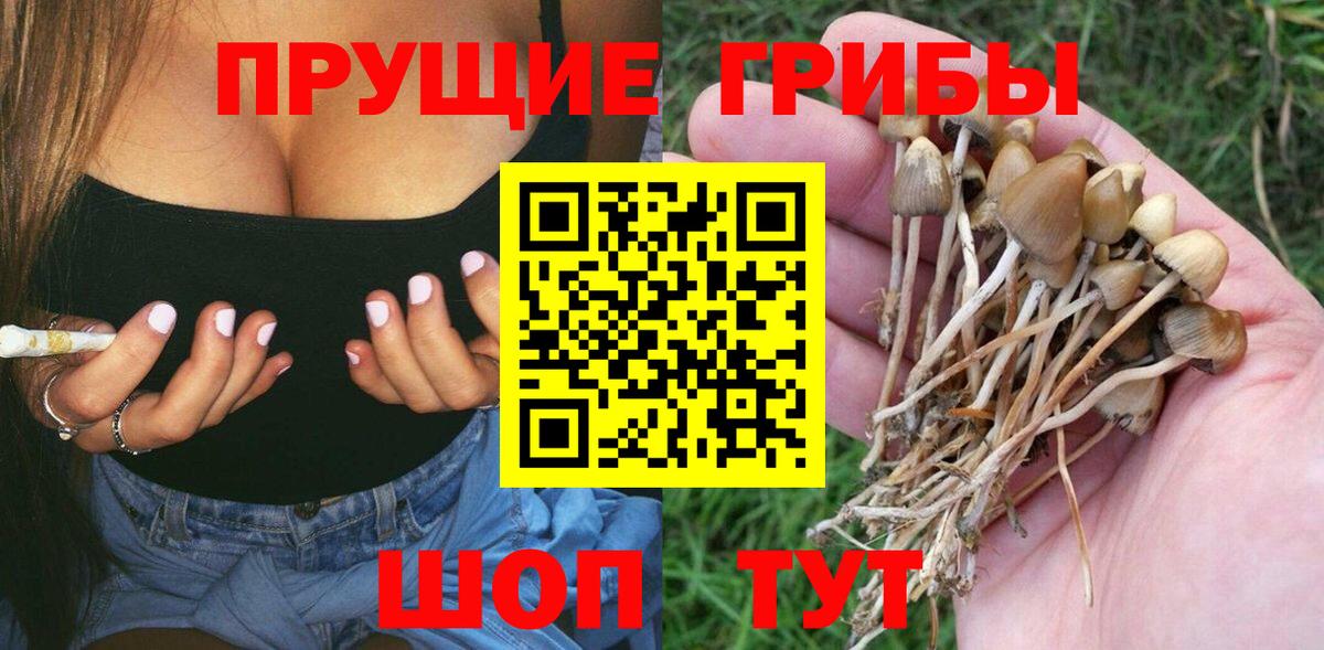 Галлюциногенные грибы Magic Shrooms  Галлюциногенные грибы мухоморы  Шарыпово  Вход с VPN 